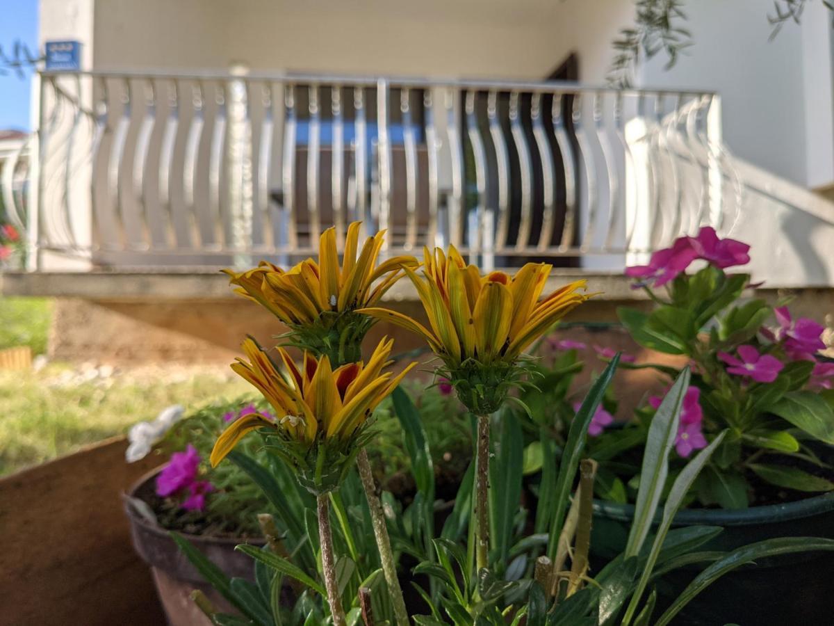 Apartment Ika Baska  Bagian luar foto
